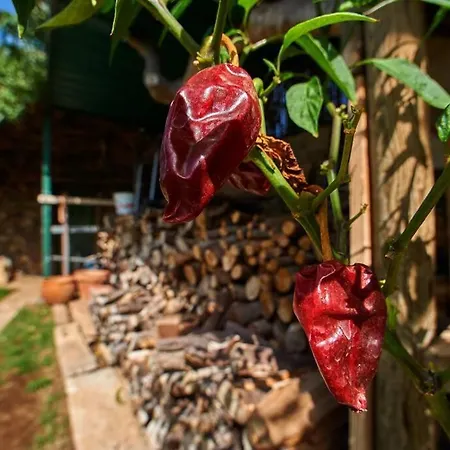 Finca Las Serenitas Βίλα *